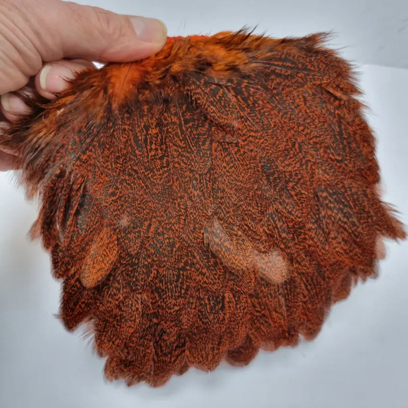 Whiting Coq de Leon Hen Saddle in Speckled Orange-3